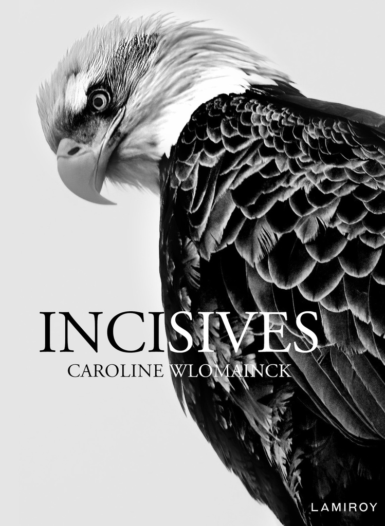 [9782875958334] Incisives