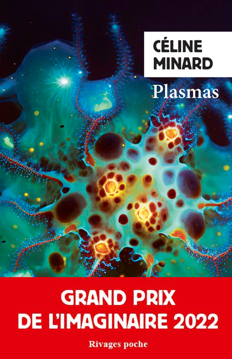 [9782743661243] Plasmas