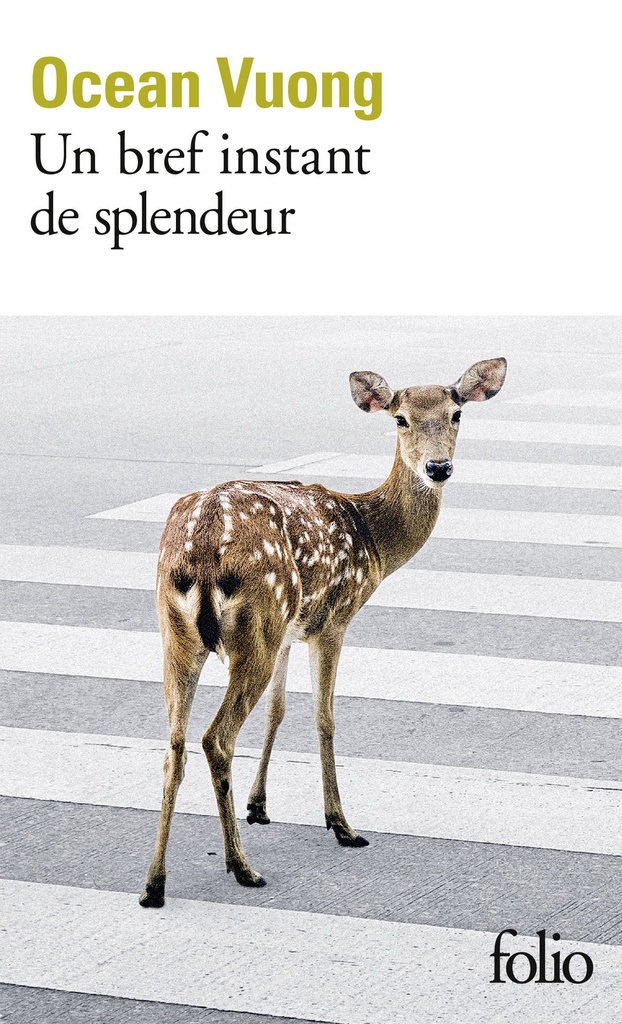 [9782072977428] Un bref instant de splendeur