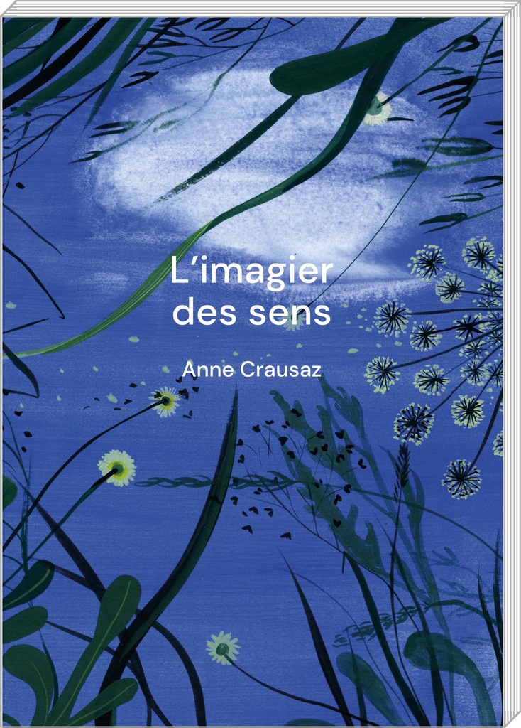 L’Imagier des sens
