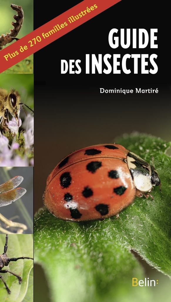 [9782410028911] Le guide des insectes