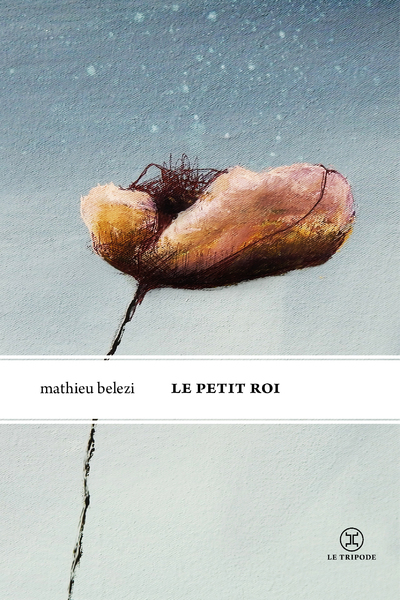 [9782370553447] Le Petit Roi