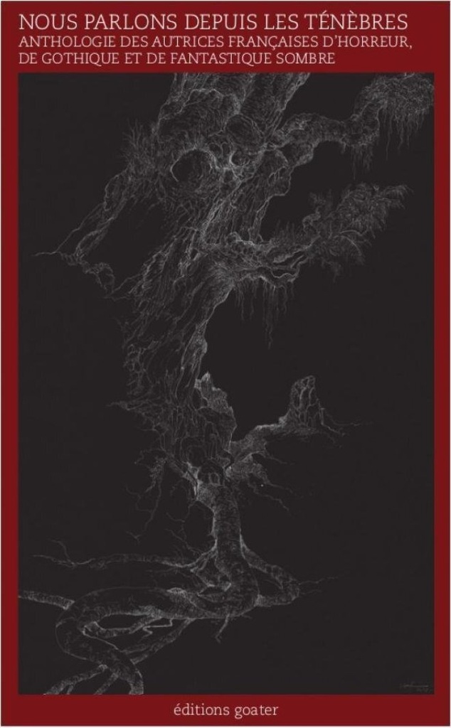 [9782383670100] Nous parlons depuis les ténèbres - anthologie de nouvelles d'horreur, de gothique et de fantastique sombre