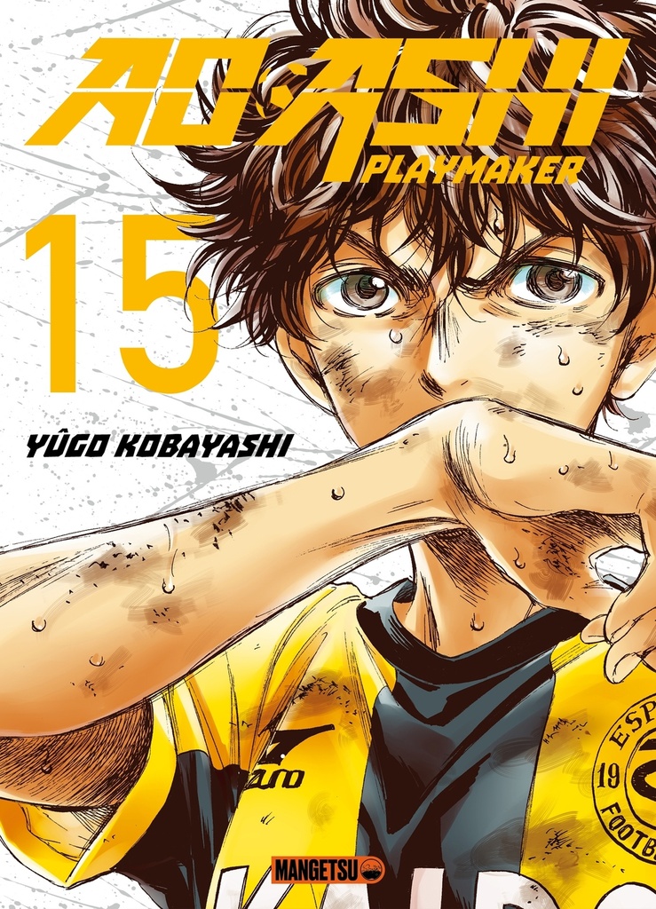 [9782382811009] AO ASHI T15