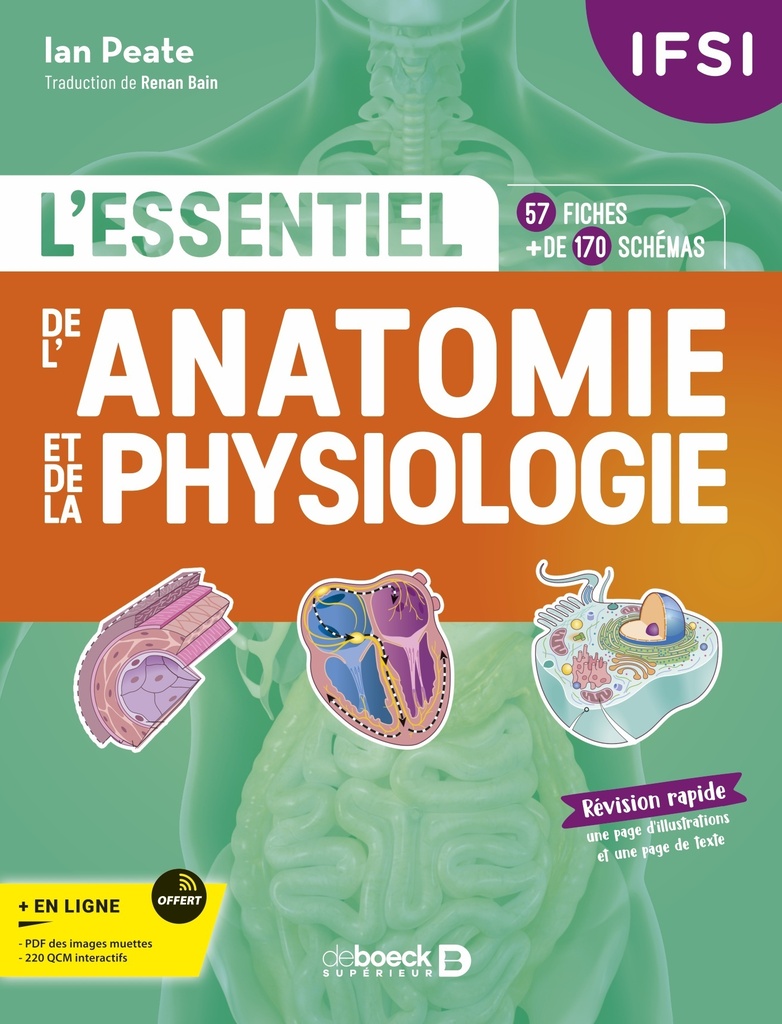 [9782807357969] L'essentiel de l’anatomie et de la physiologie en fiches