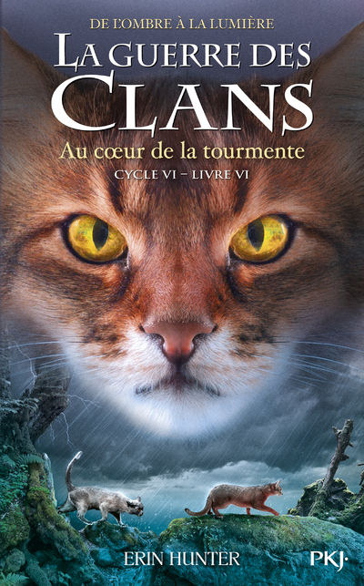 La guerre des clans - Cycle VI : De l'ombre à la lumière - Tome 6 Au coeur de la tourmente