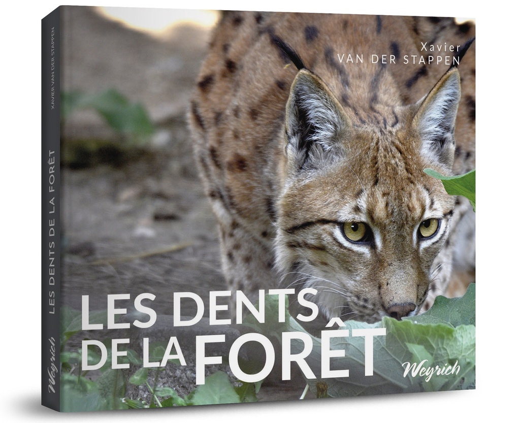 [9782874899034] Les dents de la forêt