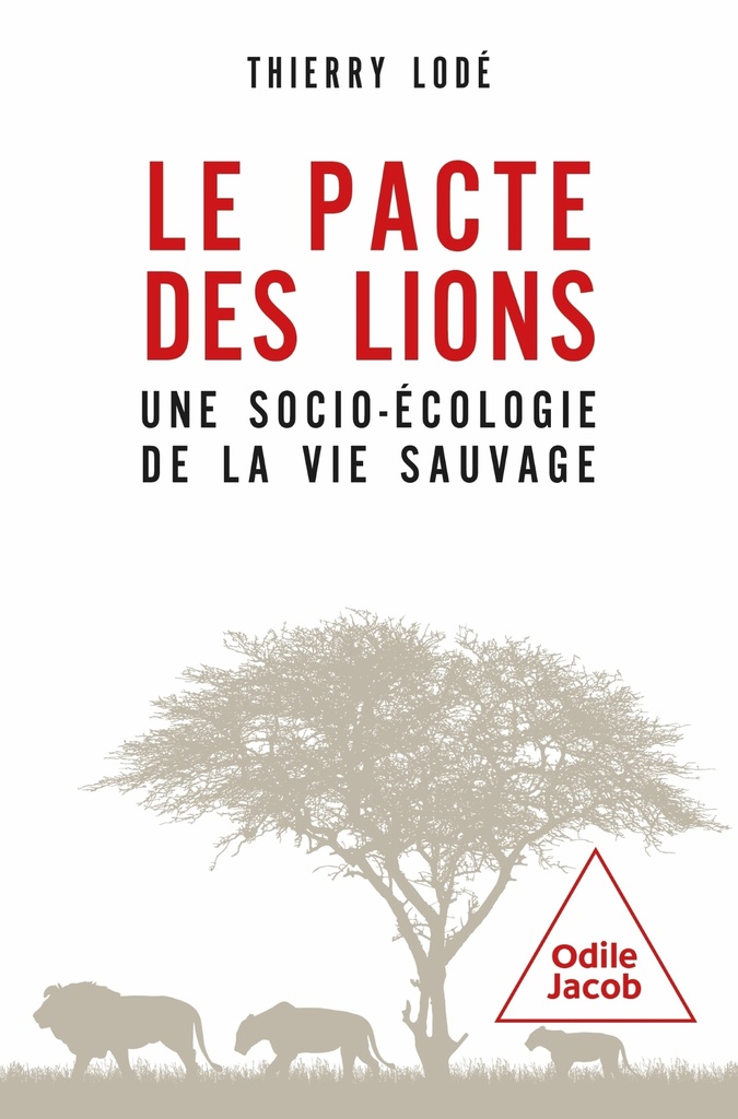 [9782415008703] Le pacte des lions