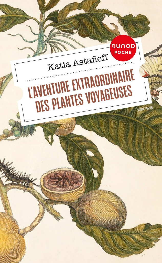 [9782100848546] L'aventure extraordinaire des plantes voyageuses