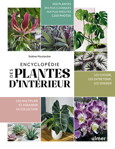 [9782379223525] Encyclopédie des plantes d'intérieur
