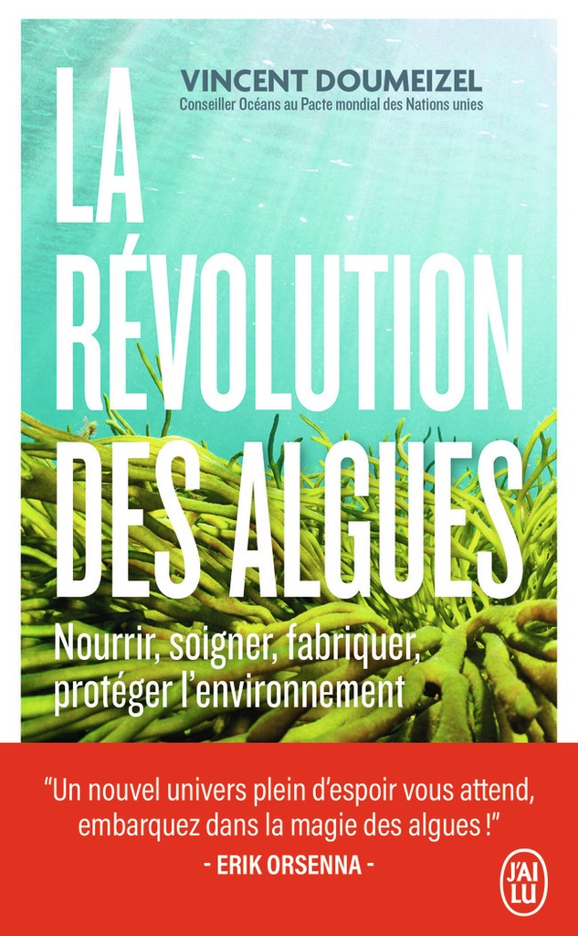[9782290378090] La révolution des algues