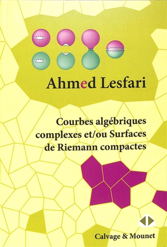 [9782493230065] Courbes algébriques complexes et/ou Surfaces de Riemann compactes