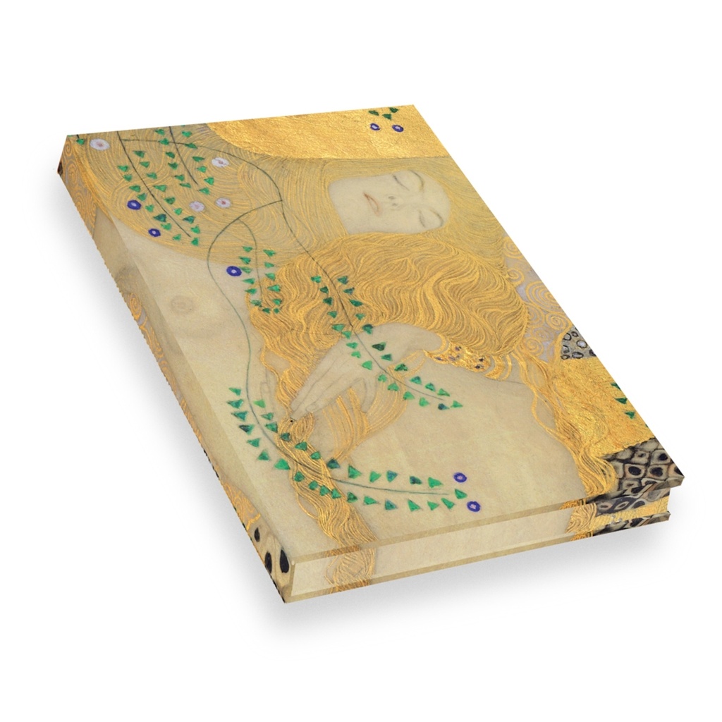 [9782754114073] Carnet Hazan pleine toile. Klimt L'Hydre