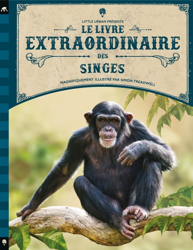 [9782374085791] Le Livre extraordinaire des singes