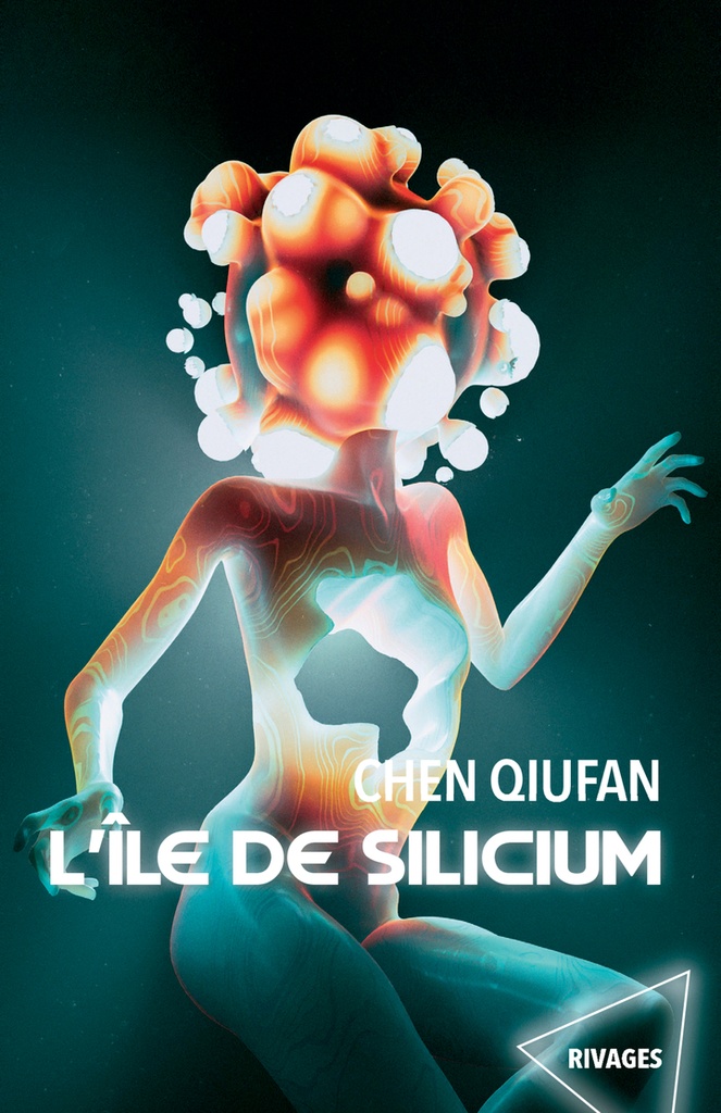 [9782743664862] L'île de Silicium
