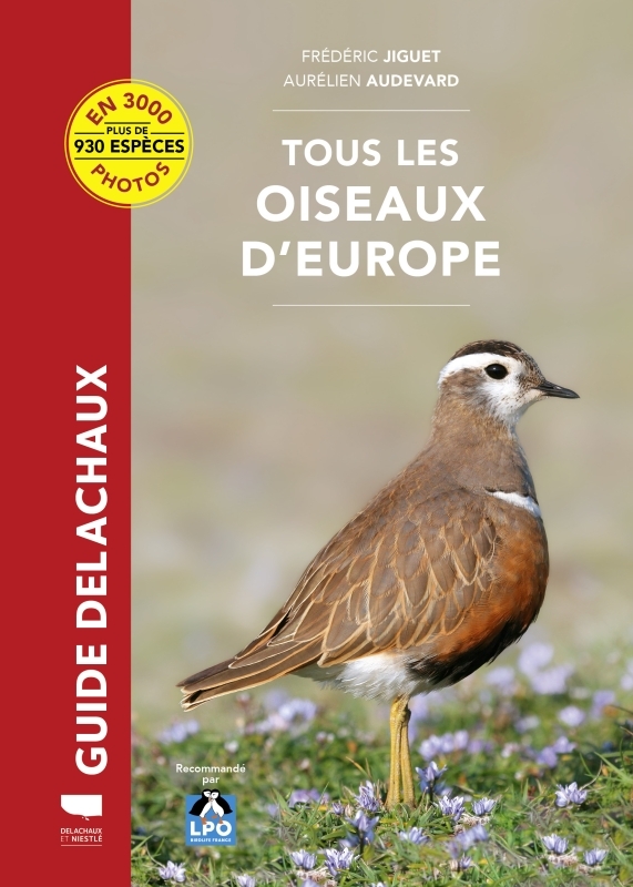 [9782603029923] Tous les oiseaux d'Europe