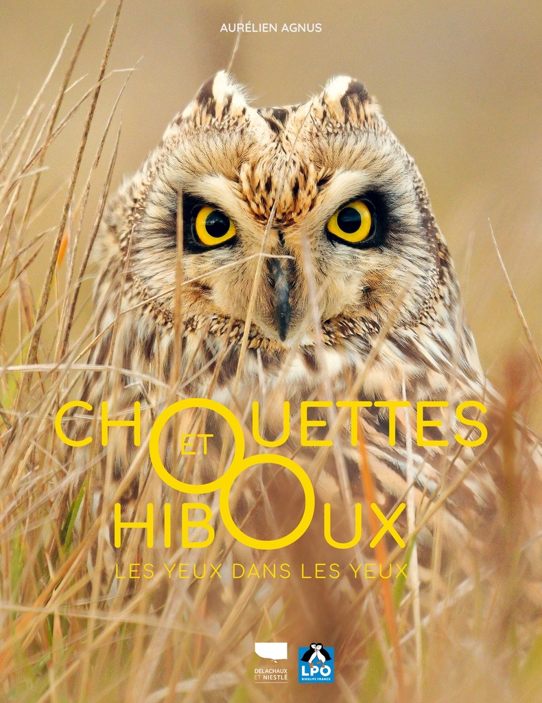 [9782603031087] Chouettes et hiboux