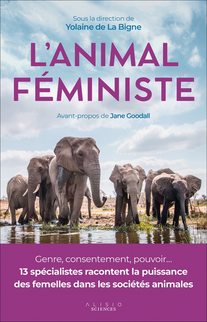 [9782379354427] L'animal féministe