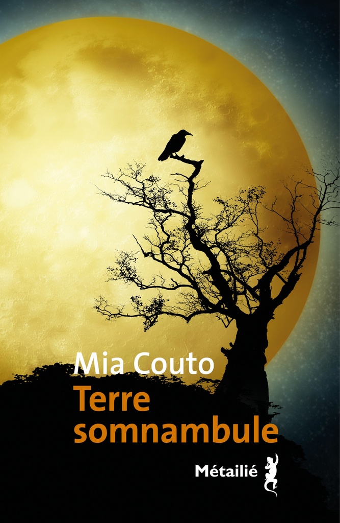 [9791022614160] Terre somnambule