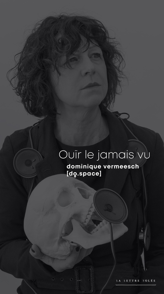 [9782873176143] Ouïr le jamais vu
