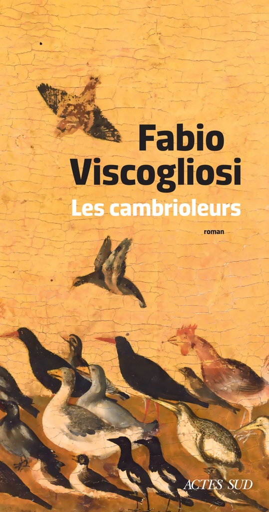 [9782330204341] Les Cambrioleurs