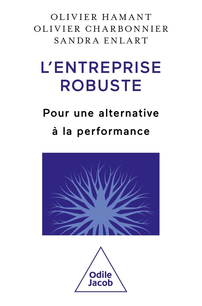 [9782415010942] L'Entreprise robuste
