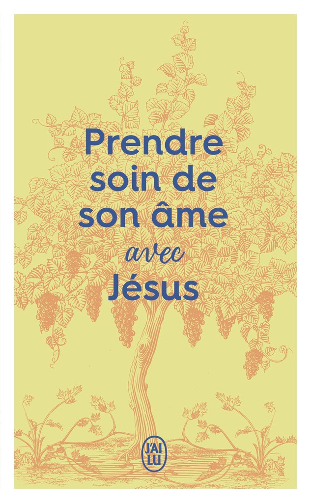 [9782290415726] Prendre soin de son âme... avec Jésus