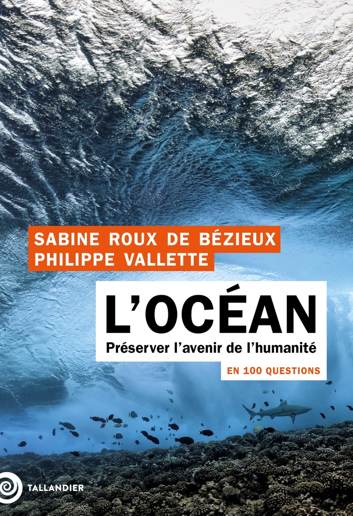[9791021063860] L'océan en 100 questions