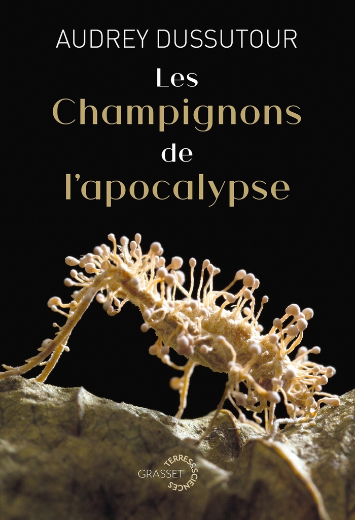 [9782246835646] Les champignons de l'apocalypse