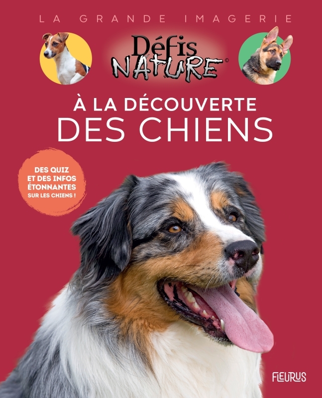 [9782215188414] À la découverte des chiens