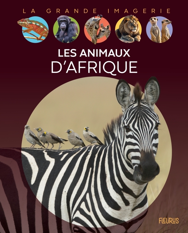 [9782215185376] Les animaux d'Afrique