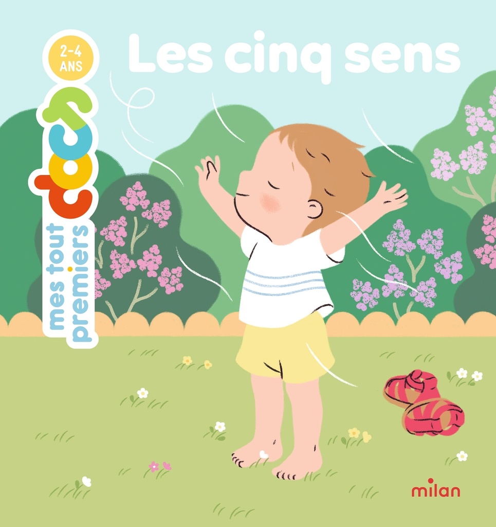 Les cinq sens