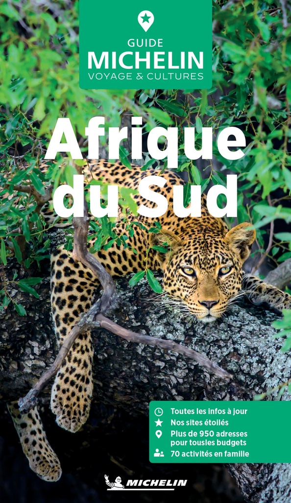 AFRIQUE DU SUD GUIDE VERT