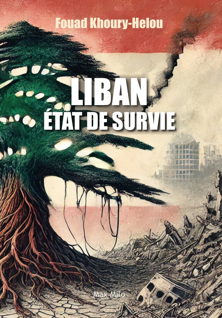 [9782315024612] Liban, État de survie