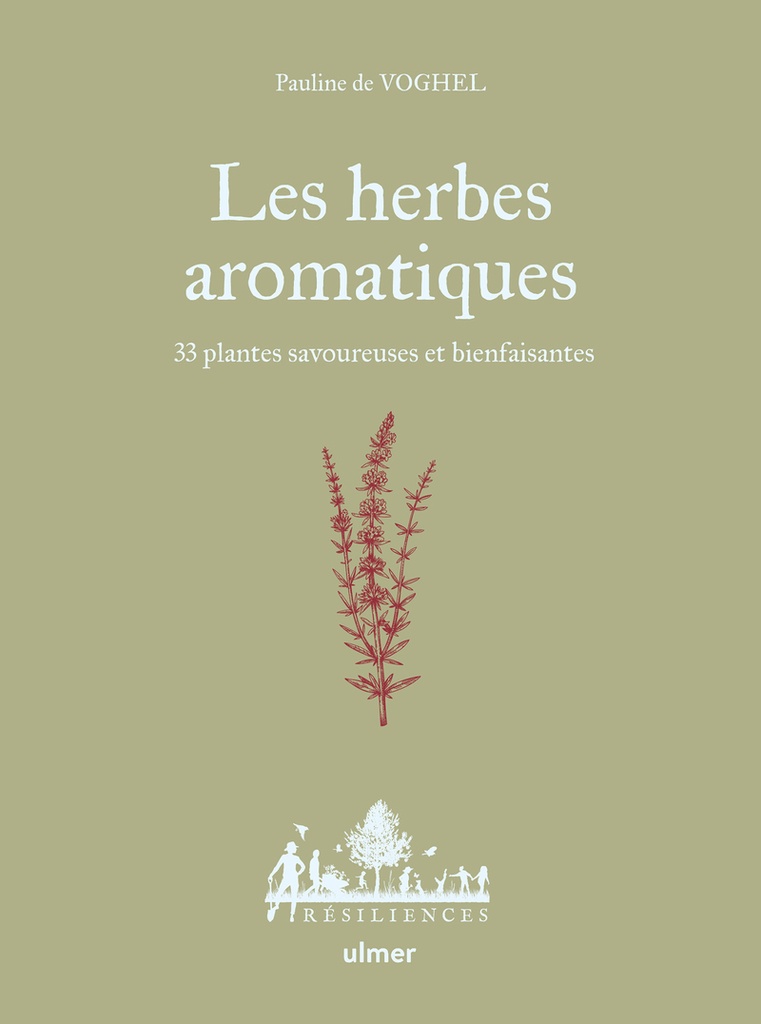 [9782379223761] Les herbes aromatiques - 33 plantes savoureuses et bienfaisantes