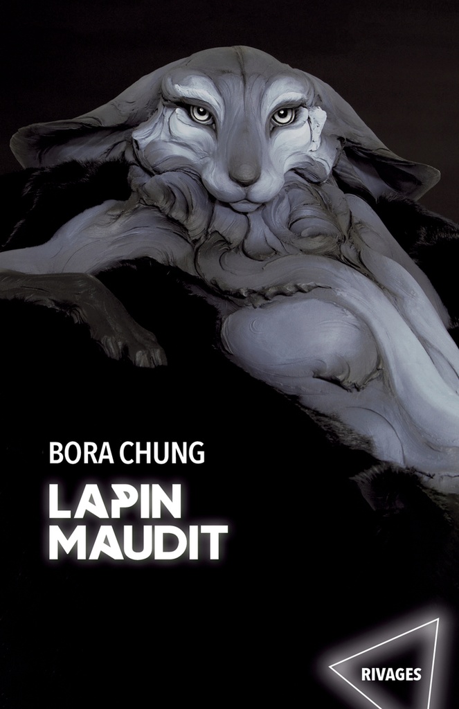 [9782743666330] Lapin maudit
