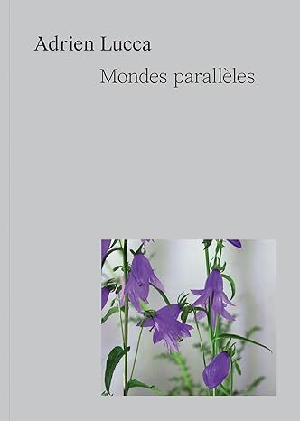 [9782875720917] Mondes parallèles