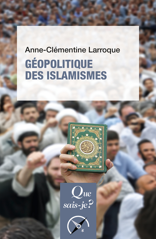 [9782715428980] Géopolitique des islamismes