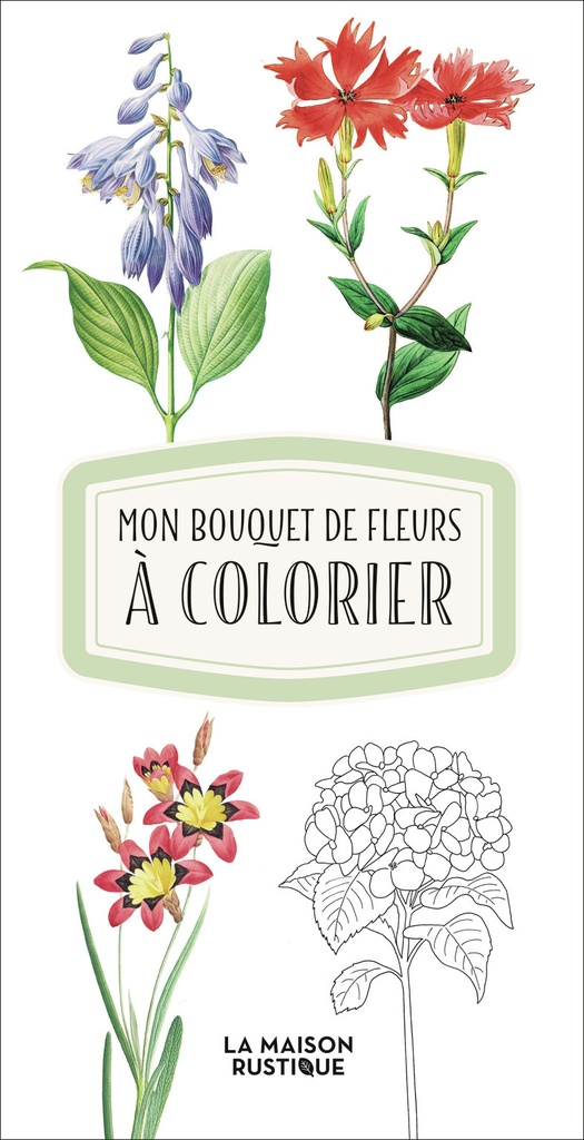 [9782080487728] Mon bouquet de fleurs à colorier