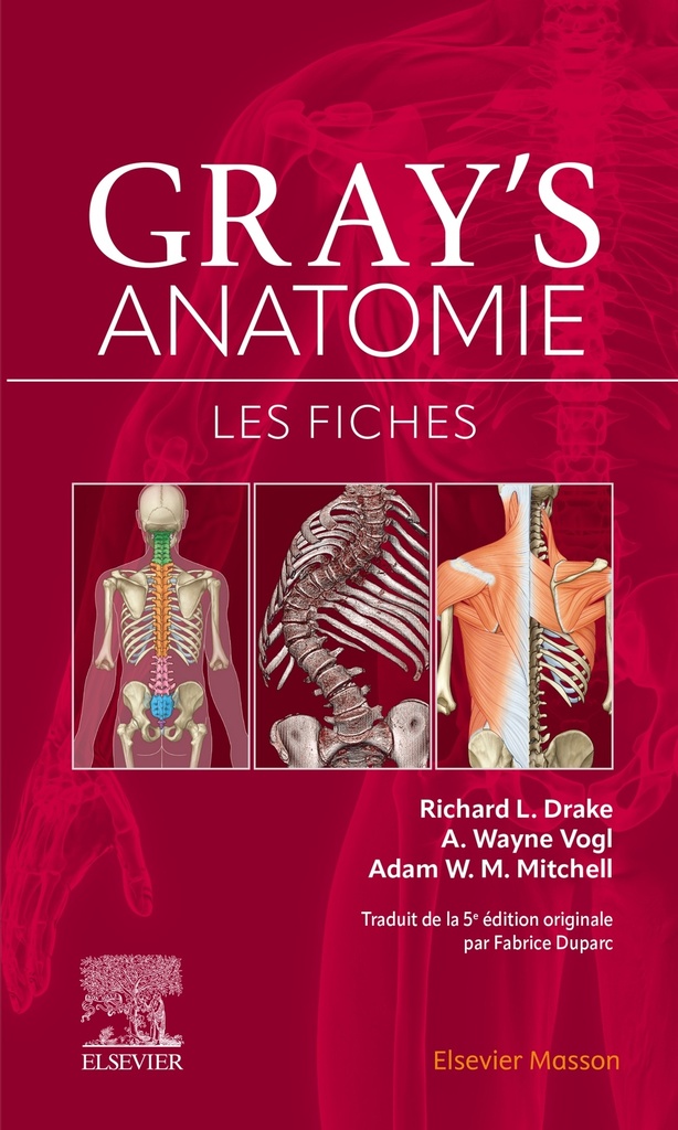 [9782294779596] Gray's Anatomie - Les fiches