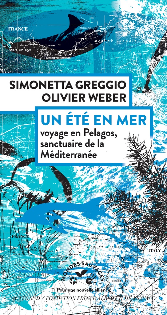 Un été en mer