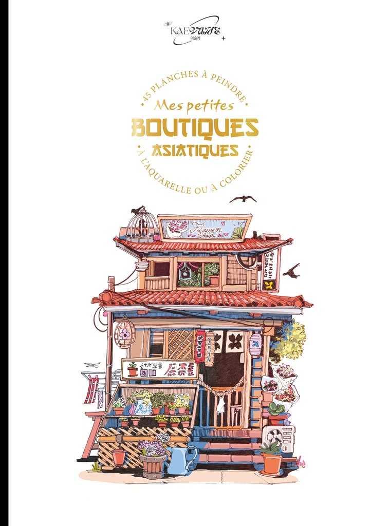 Mes petites boutiques asiatiques - Kaevane