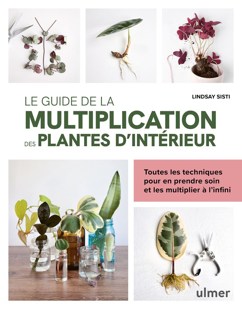 [9782379224638] Le guide de la multiplication des plantes d'intérieur - Toutes les techniques pour en prendre soin et les multiplier à l'infini