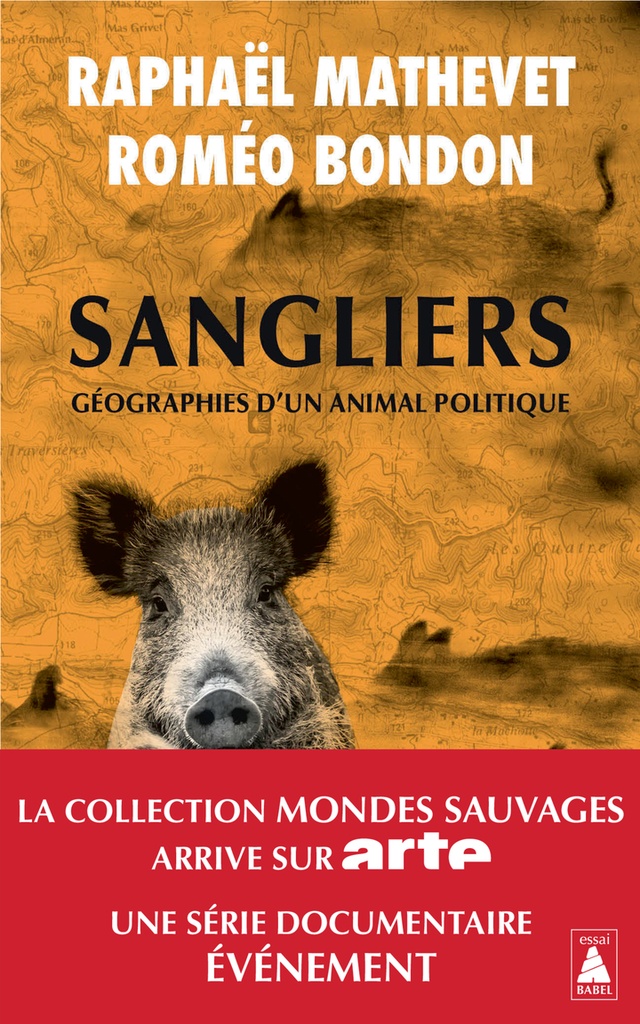 [9782330208677] Sangliers, géographies d'un animal politique