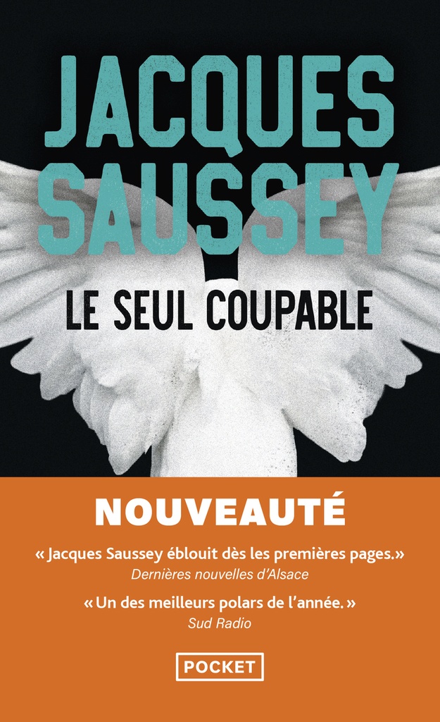 Le seul coupable