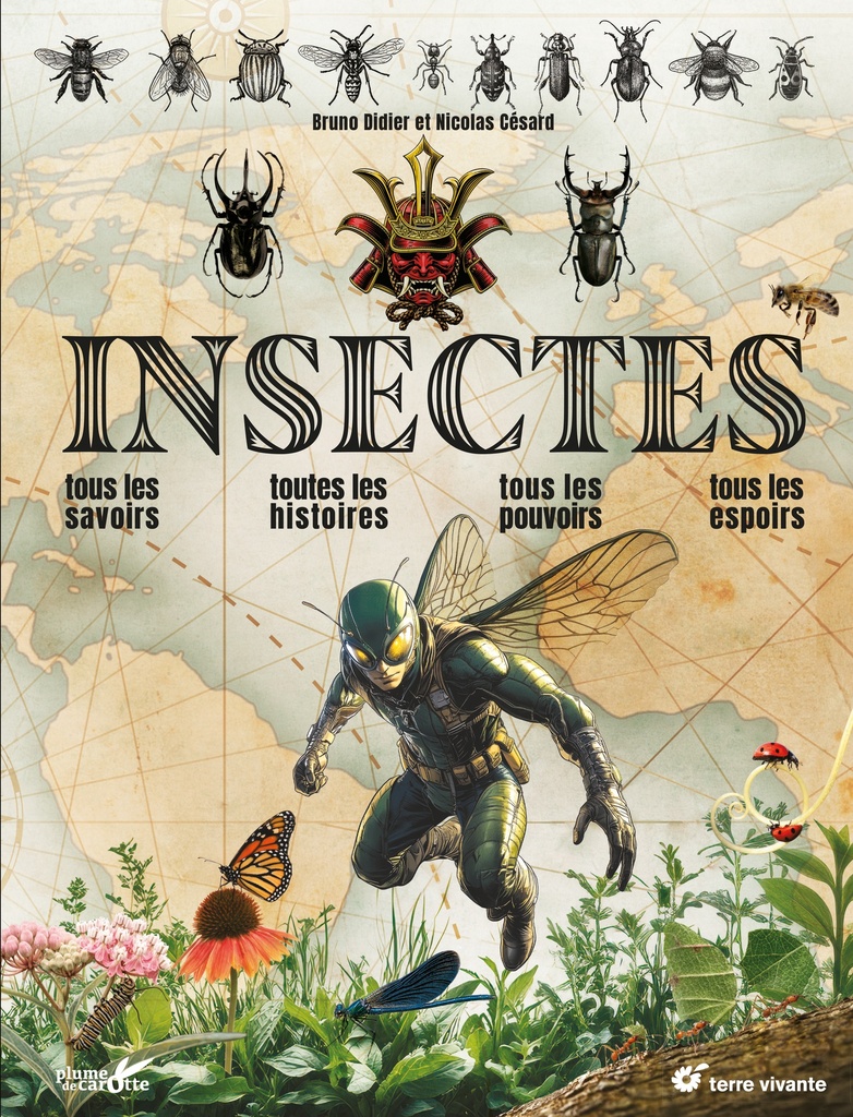 Insectes