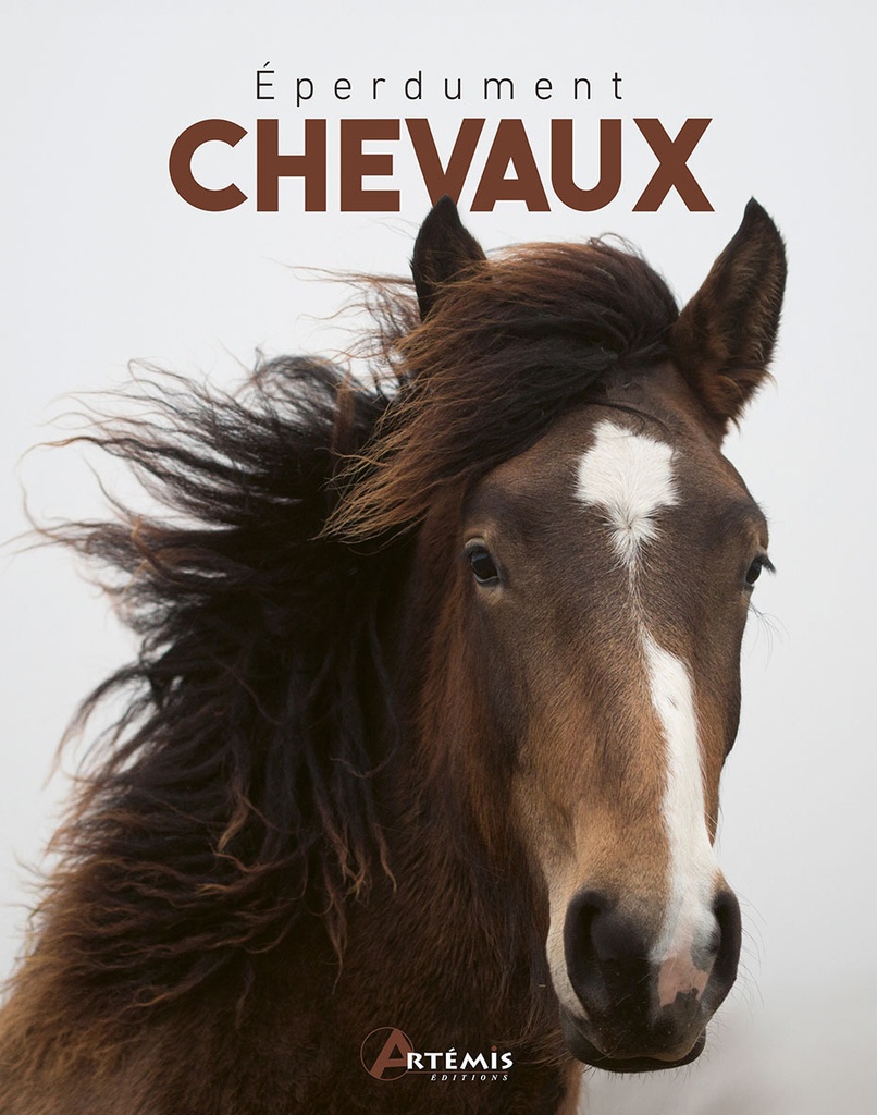 EPERDUMENT CHEVAUX