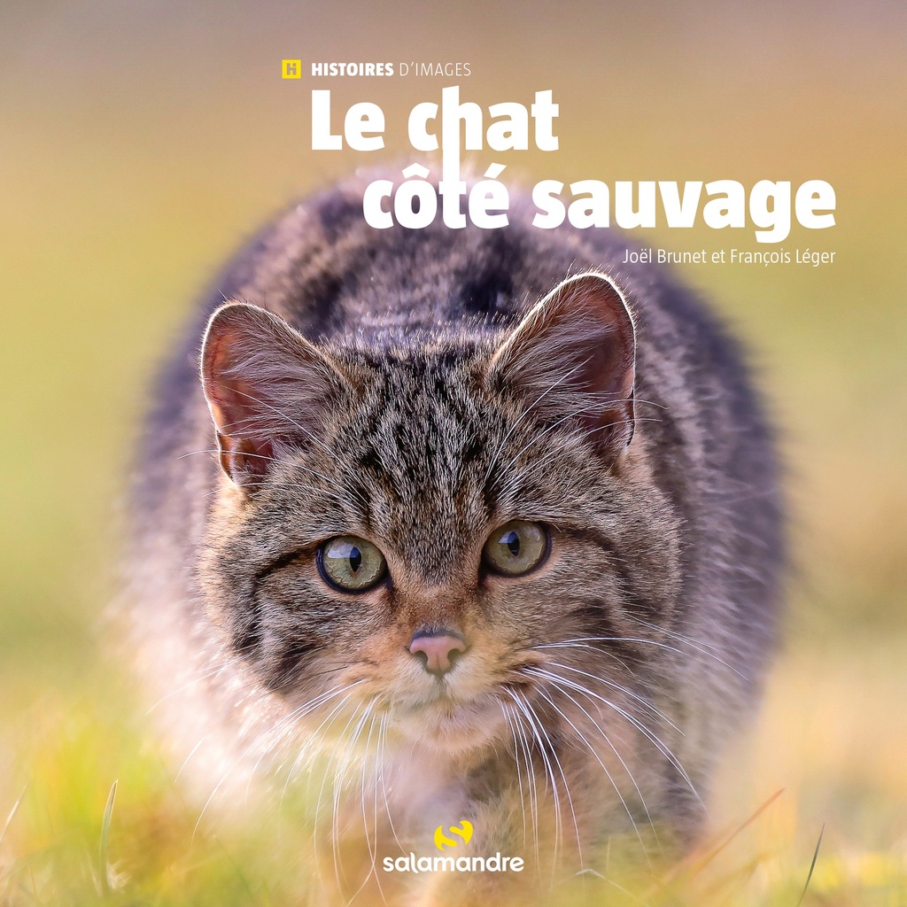 [9782889585922] Le chat côté sauvage
