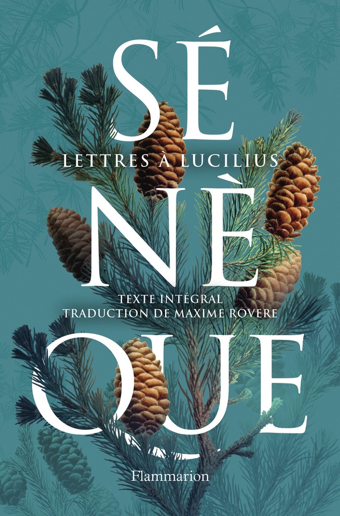 [9782080455314] Lettres à Lucilius