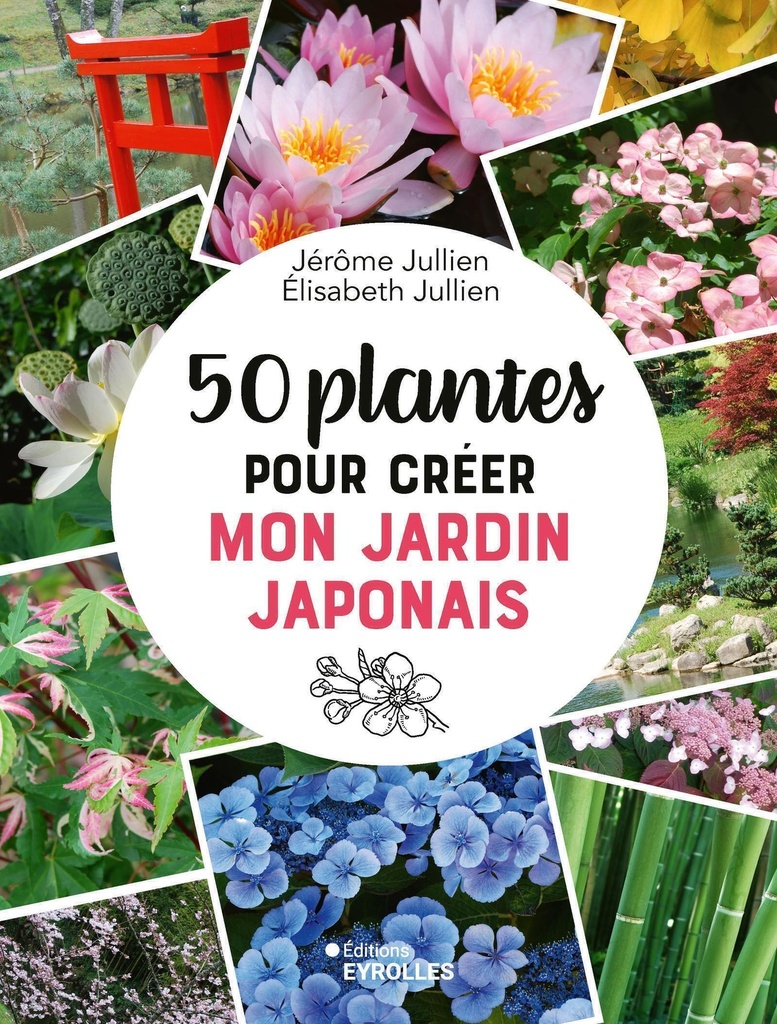 [9782416021800] 50 plantes pour créer mon jardin japonais
